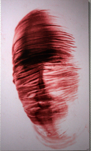 "Rosa Verhüllung", Foto, 2008